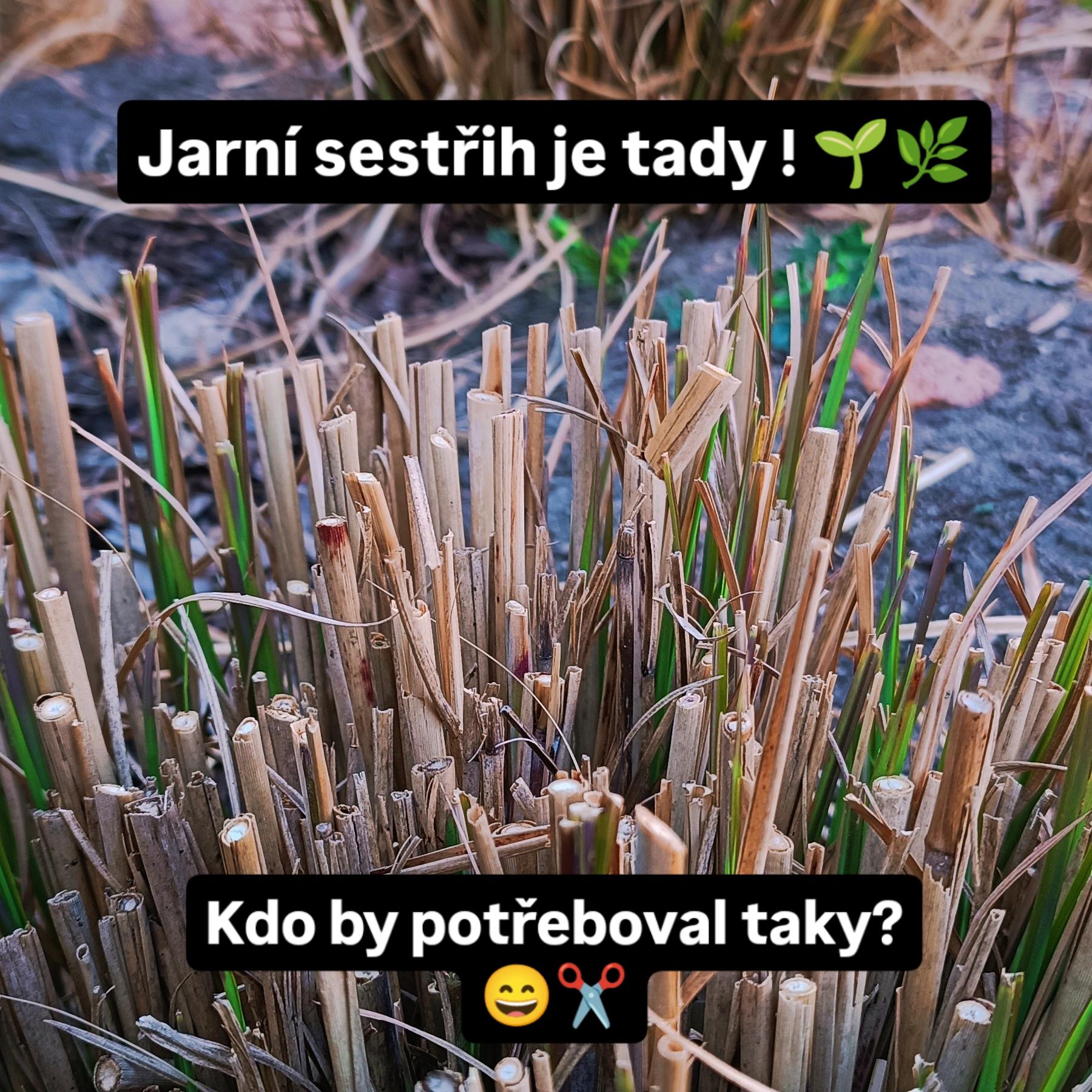 Zahrady podle OT, s.r.o. foto 4