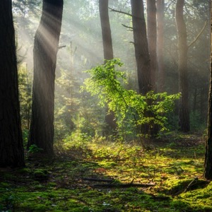 Secondary vocational schools of ecology and environmental protection