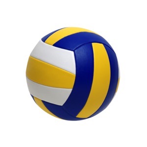 Prodej potřeb pro sálové míčové sporty