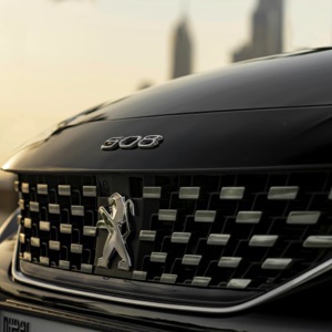 Sellers of automotive spare parts - Peugeot and Citroen