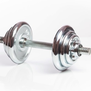 Producers of fitness and bodybuilding gear and equipment