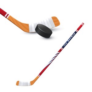 Sellers of ice hockey gear and equipment