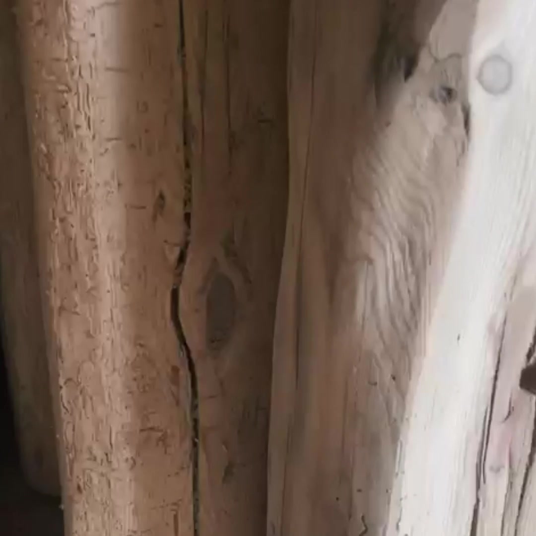 Mrpolicka.cz foto 2 (náhled videa)