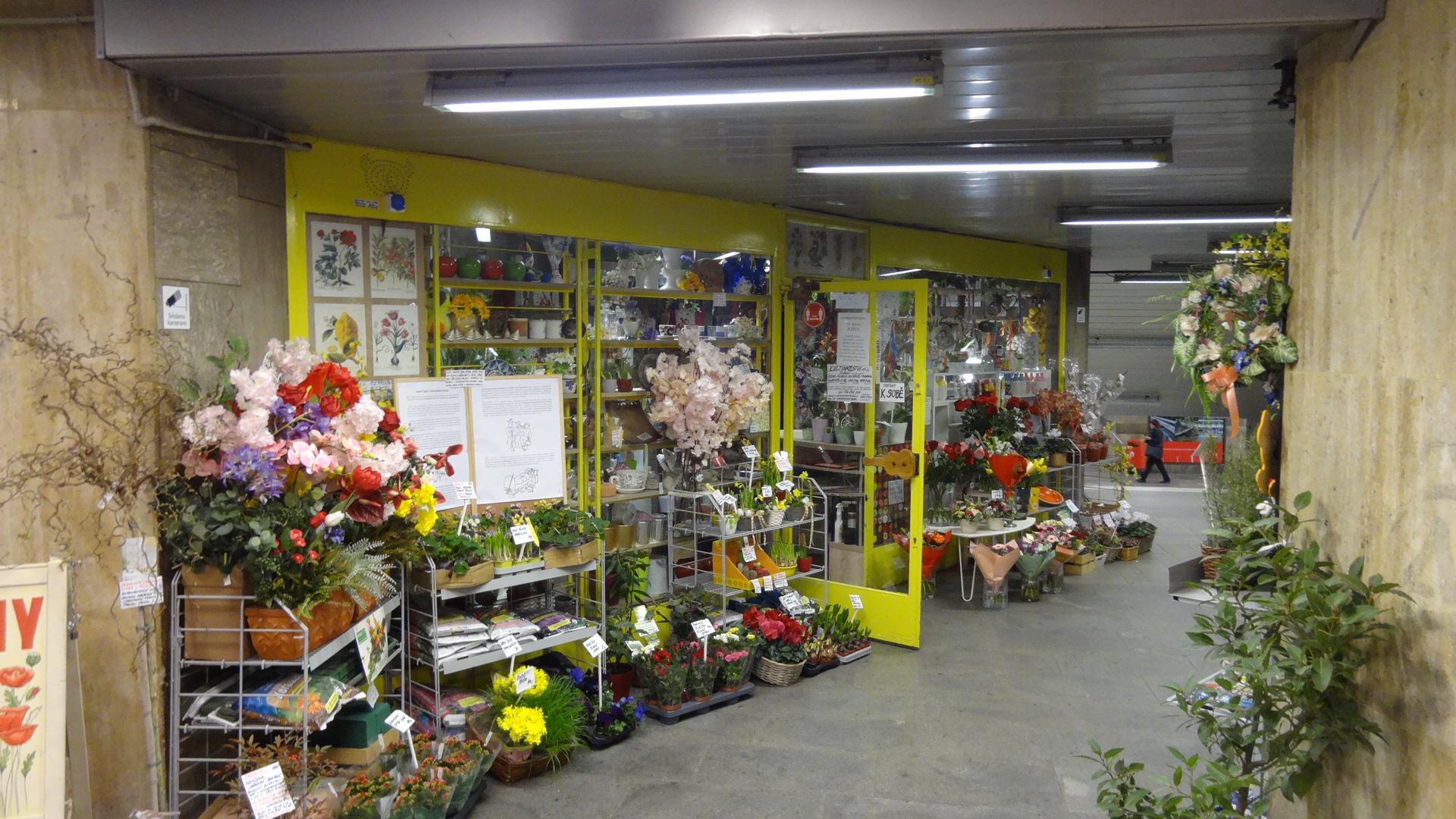 Květiny Radost foto 3