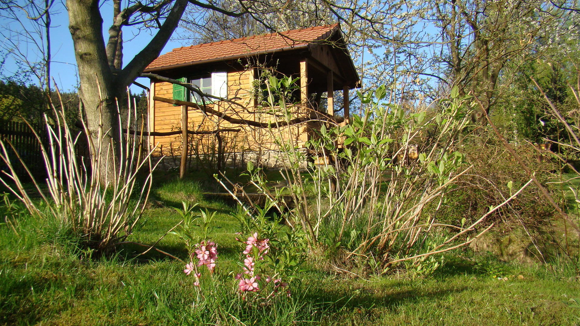 Údržba zahrad Zdeněk Bečvář foto 2