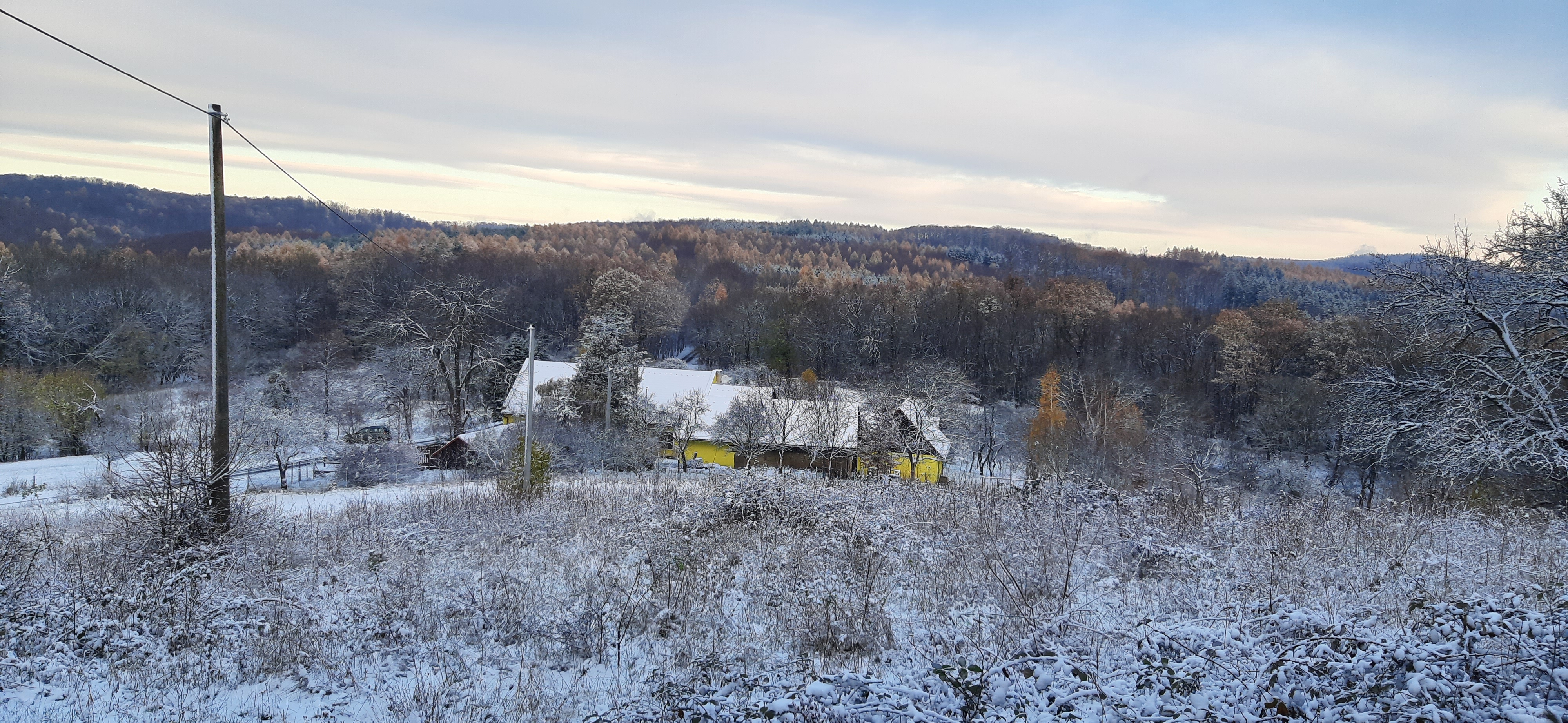 Muzeum lesnictví a myslivosti foto 3