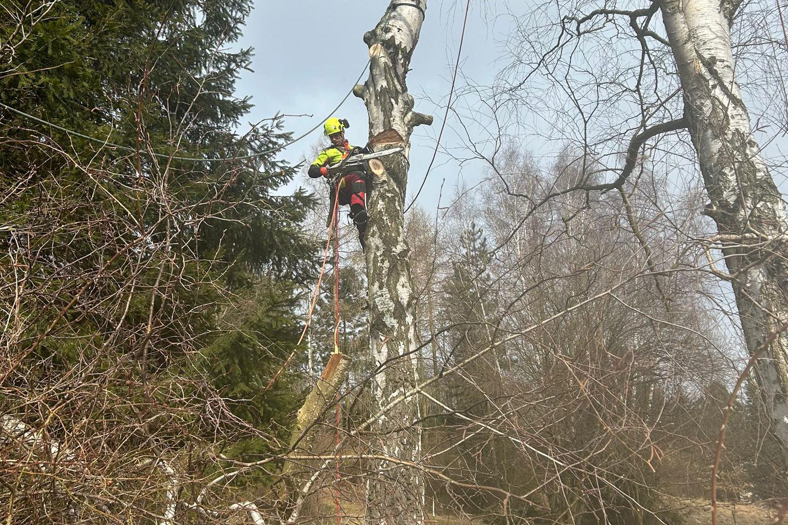 VÝŠKOVÉ PRÁCE NÁCHOD foto 1