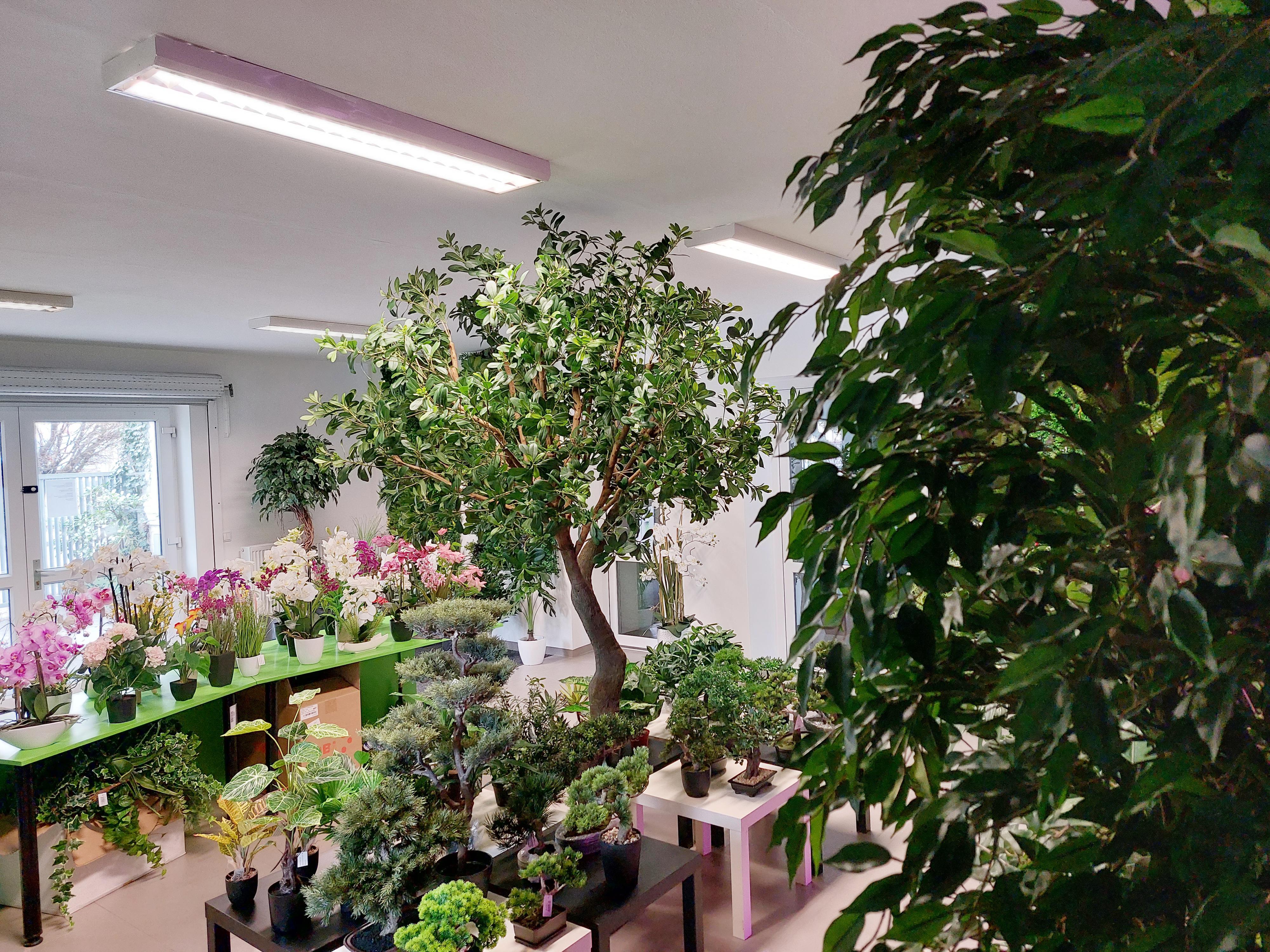 Umelekvetiny.net foto 2