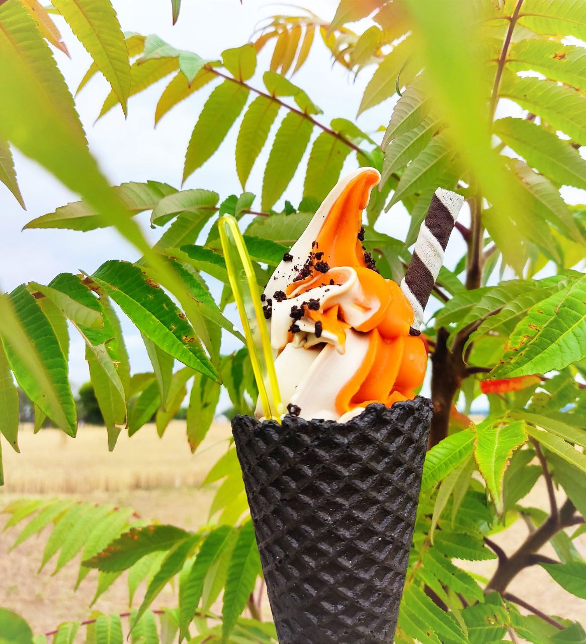 Zmrzlina Extra Lahodná foto 4