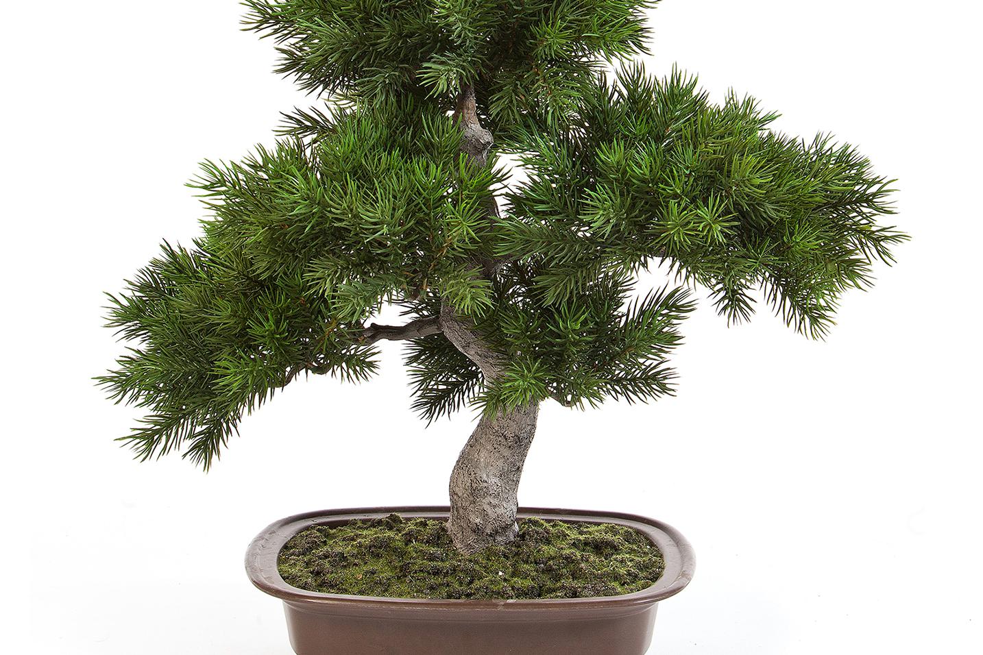 Umělé bonsaje jako živé