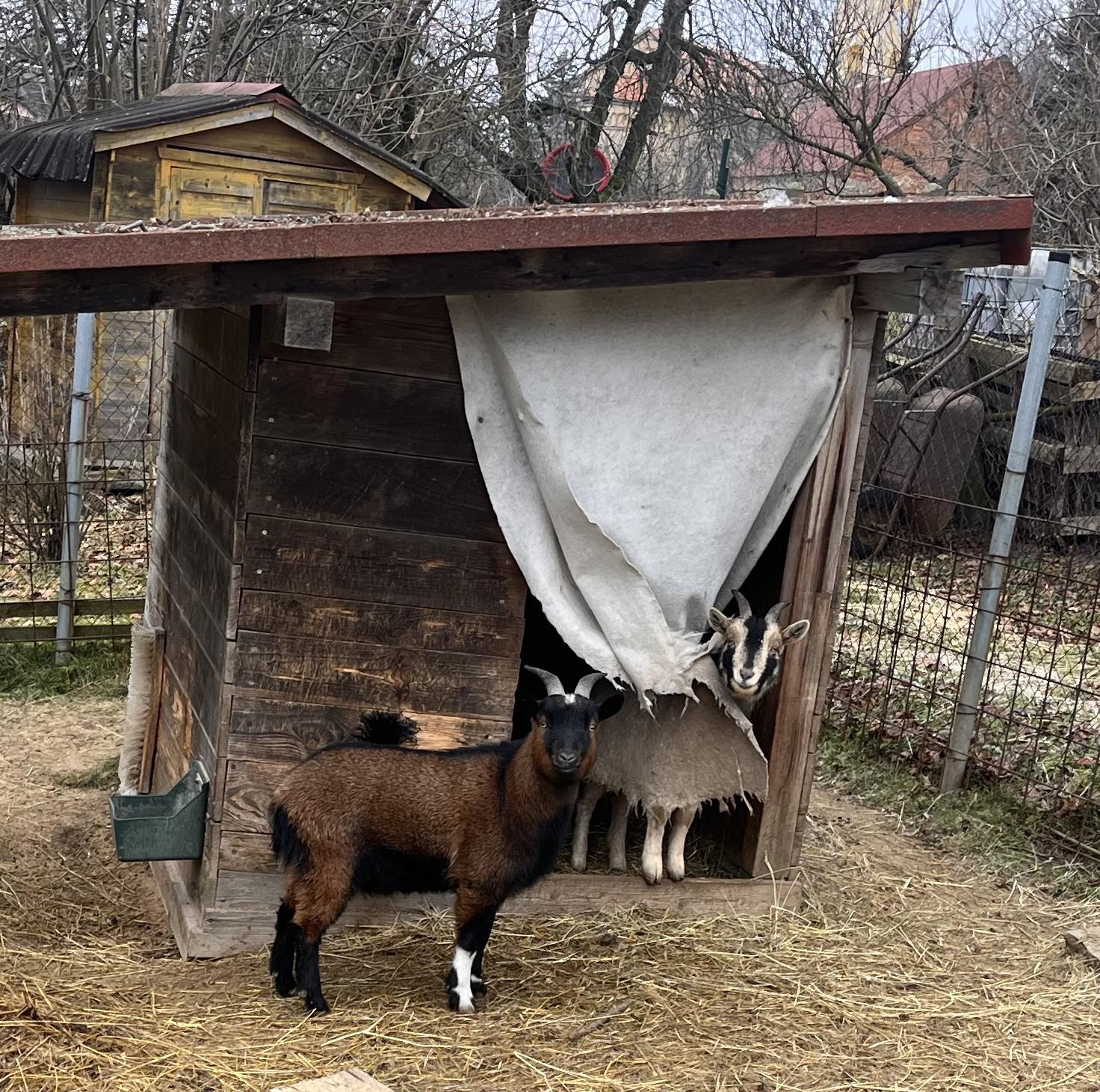MŠ Mšeno foto 2