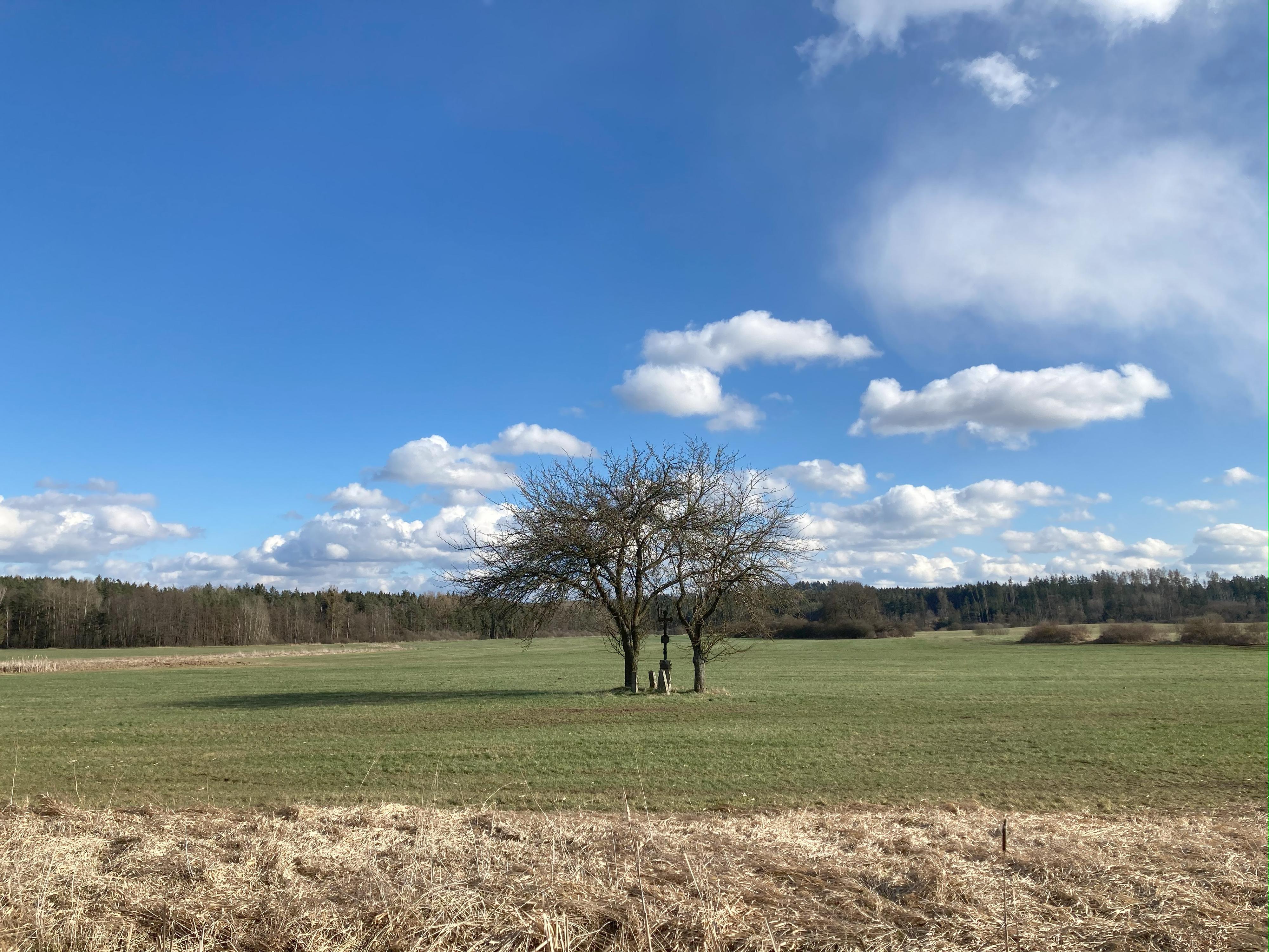 Penzion Fořtovna Cerhonice foto 5