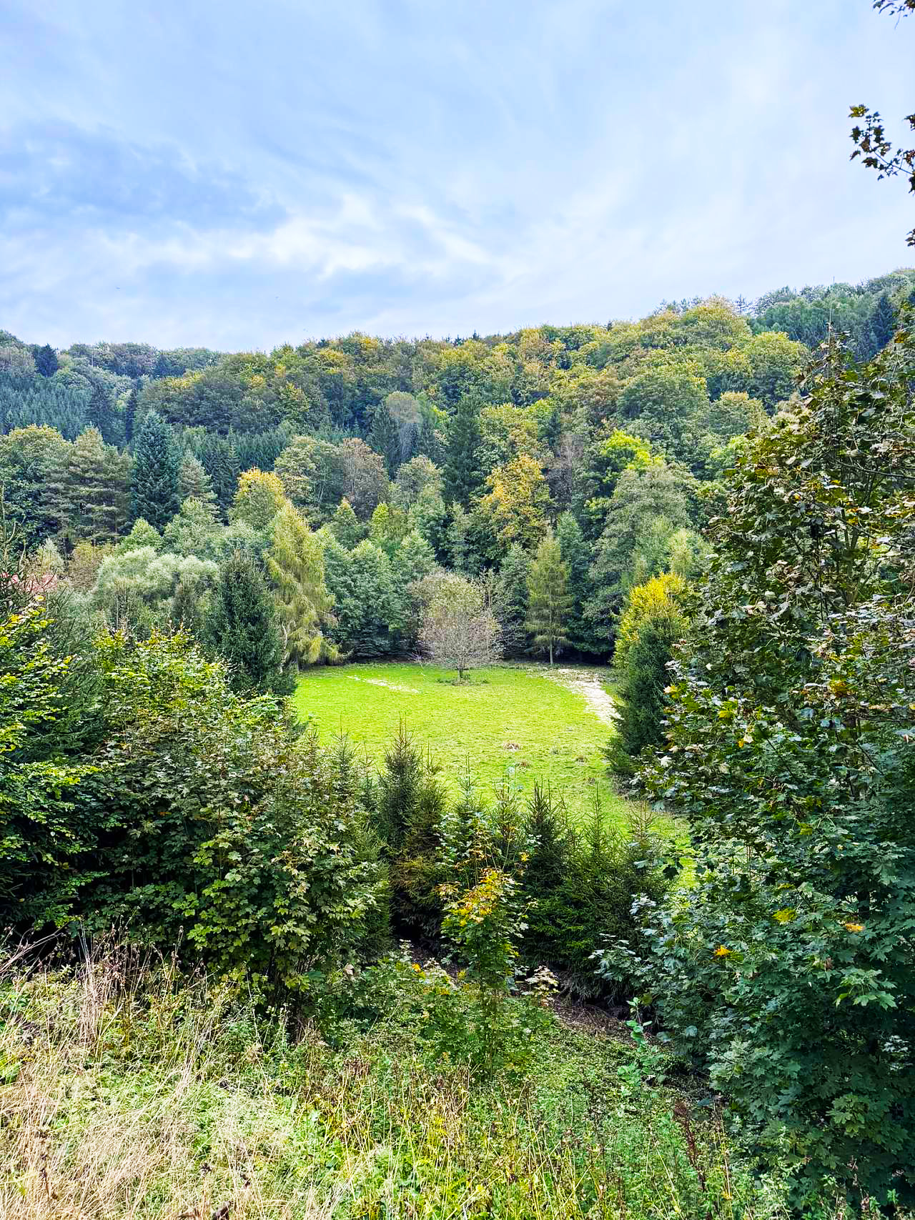 EURONA BY CERNY - CHALOUPKA foto 4