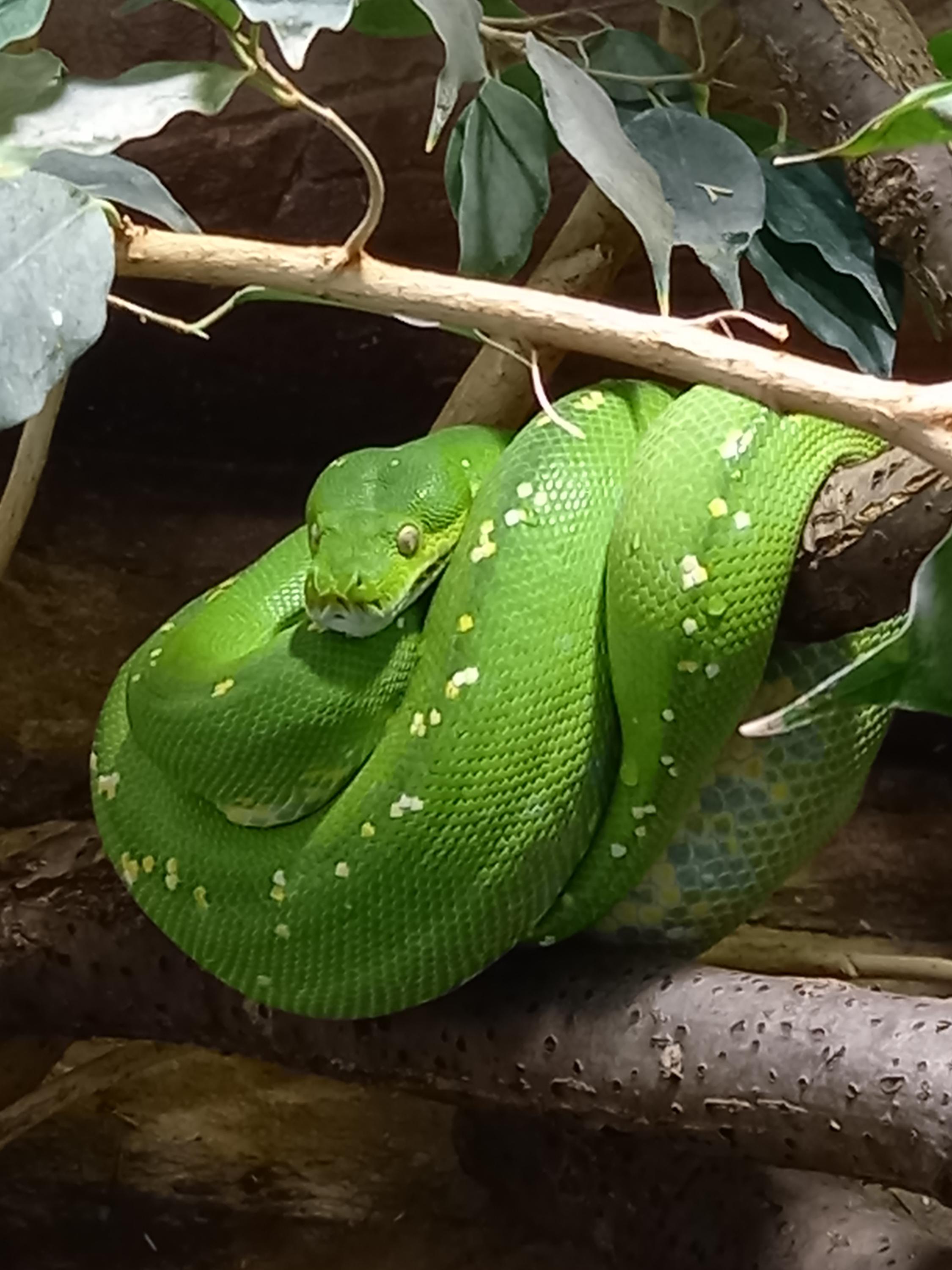 Akva Tera Zoo Plzeň foto 5