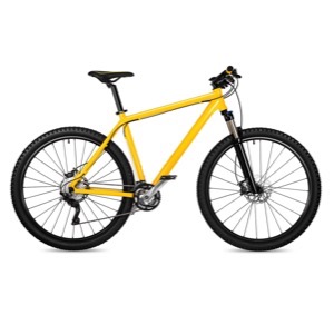 Sellers of mountain and trekking bikes