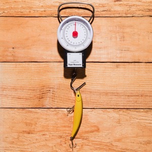 Online sellers of scales and weighing systems