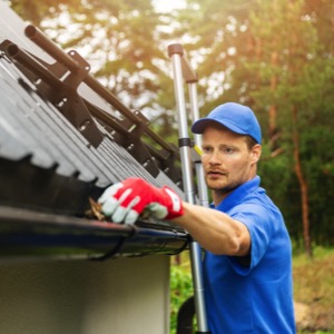 Roof washing and cleaning