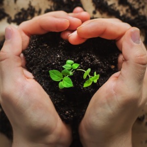 Protectors of nature sites