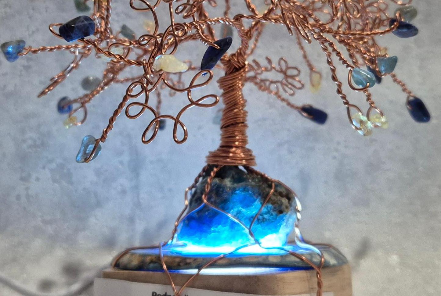 Stromyzivotaastesti.cz