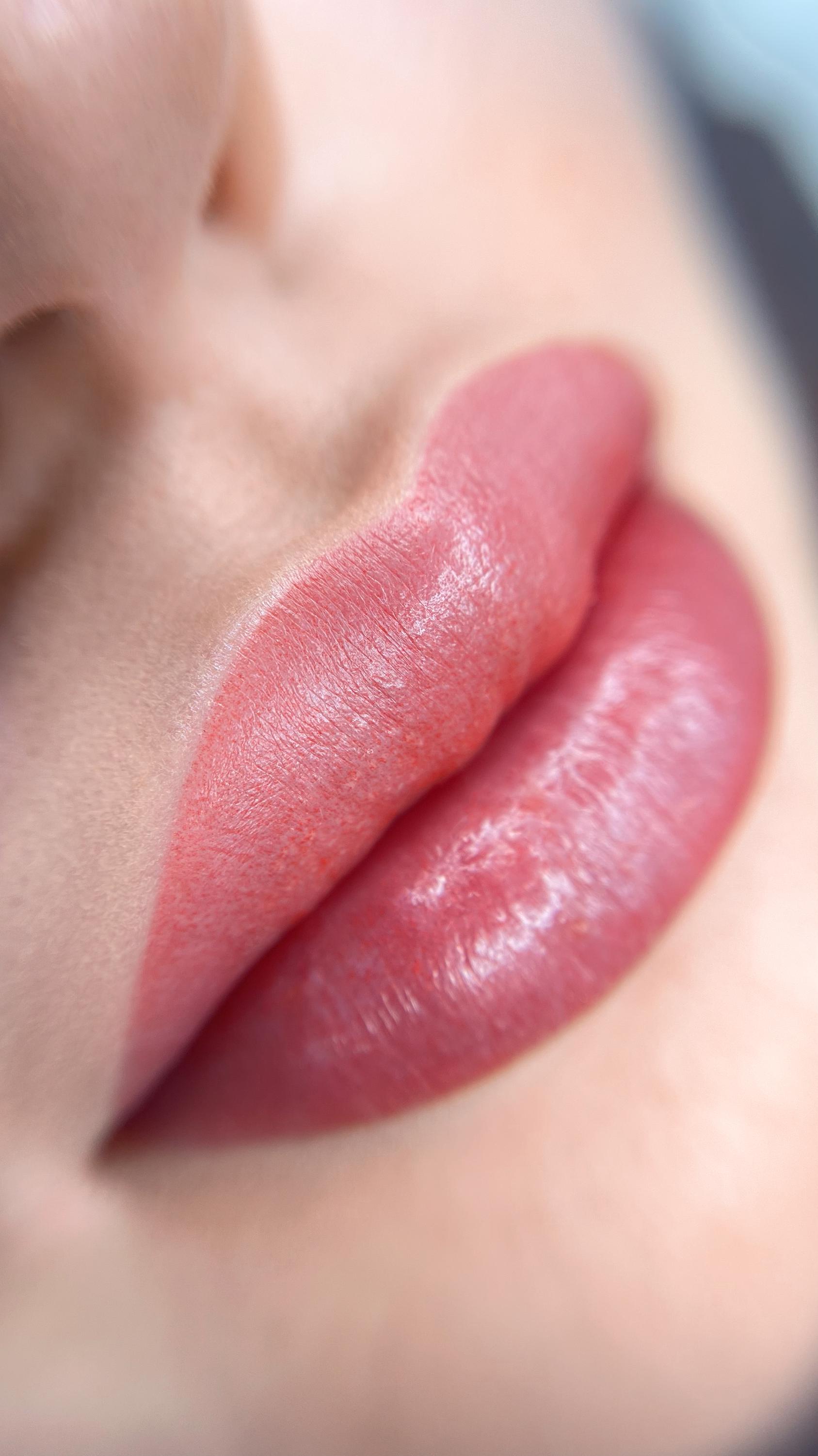 GalaStudio PRO -  Profesionální permanentní make-up foto 2