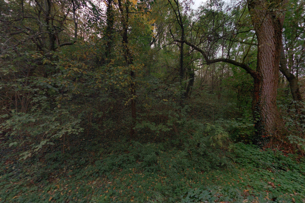 Statek u Šťastných