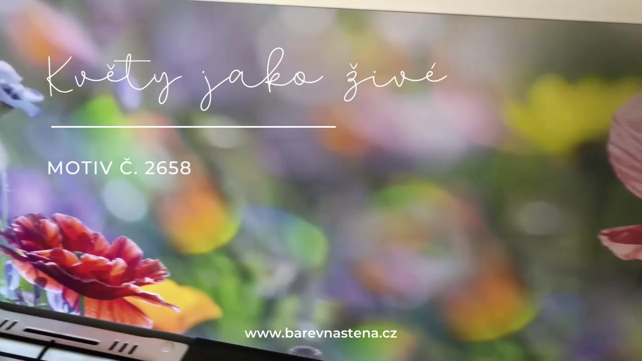 Barevná stěna CZ foto 2 (náhled videa)