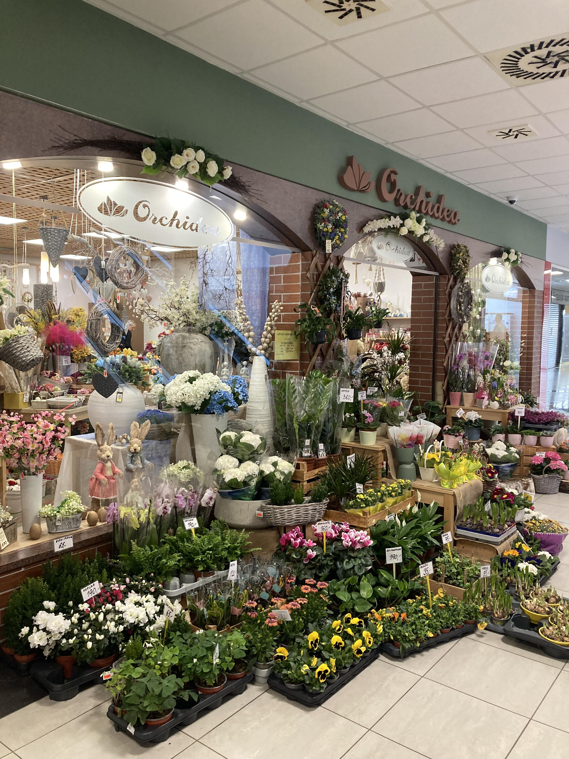Květiny Orchidea, s.r.o. foto 3
