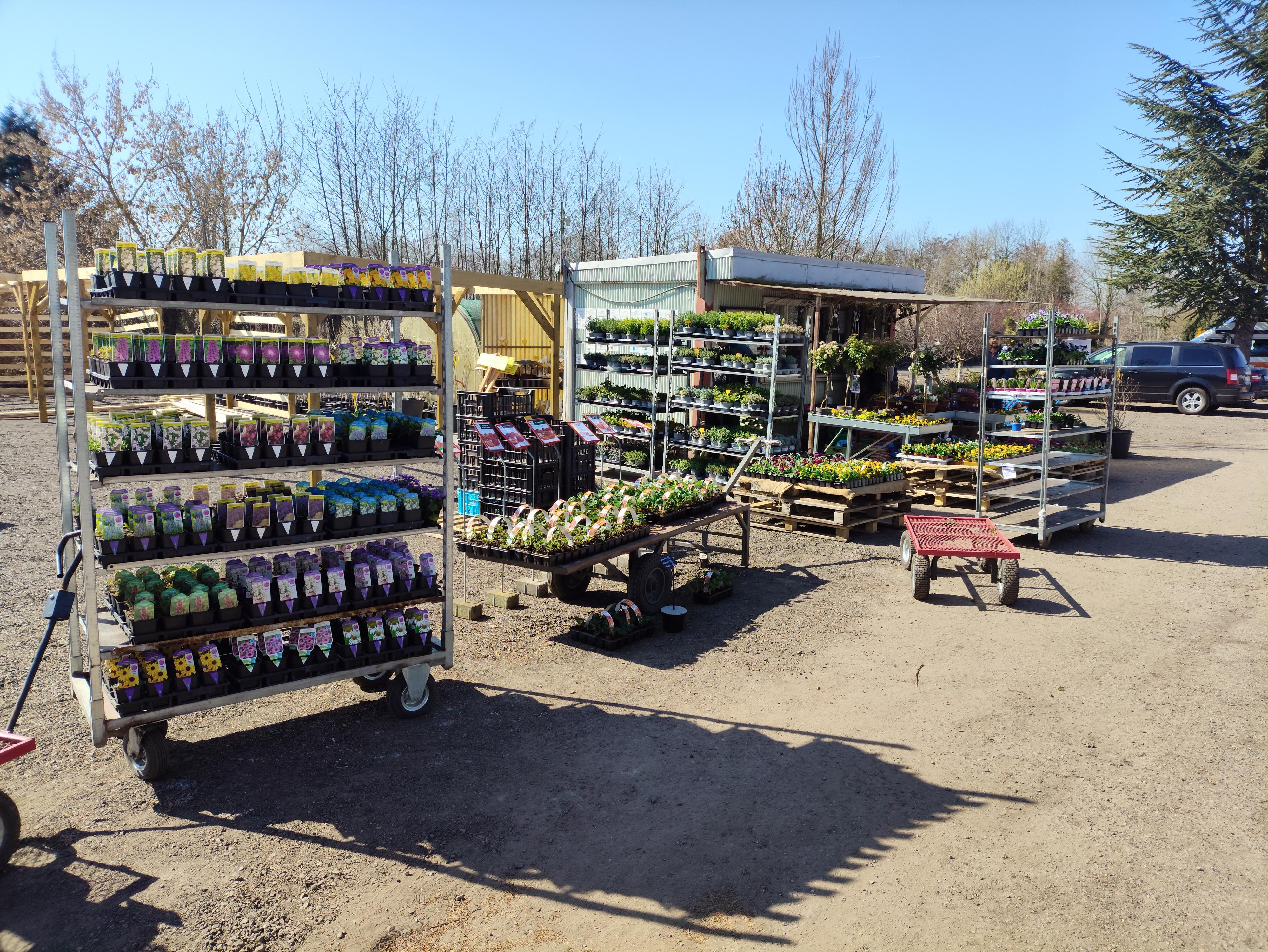 Zahradnictví Kukleny foto 4