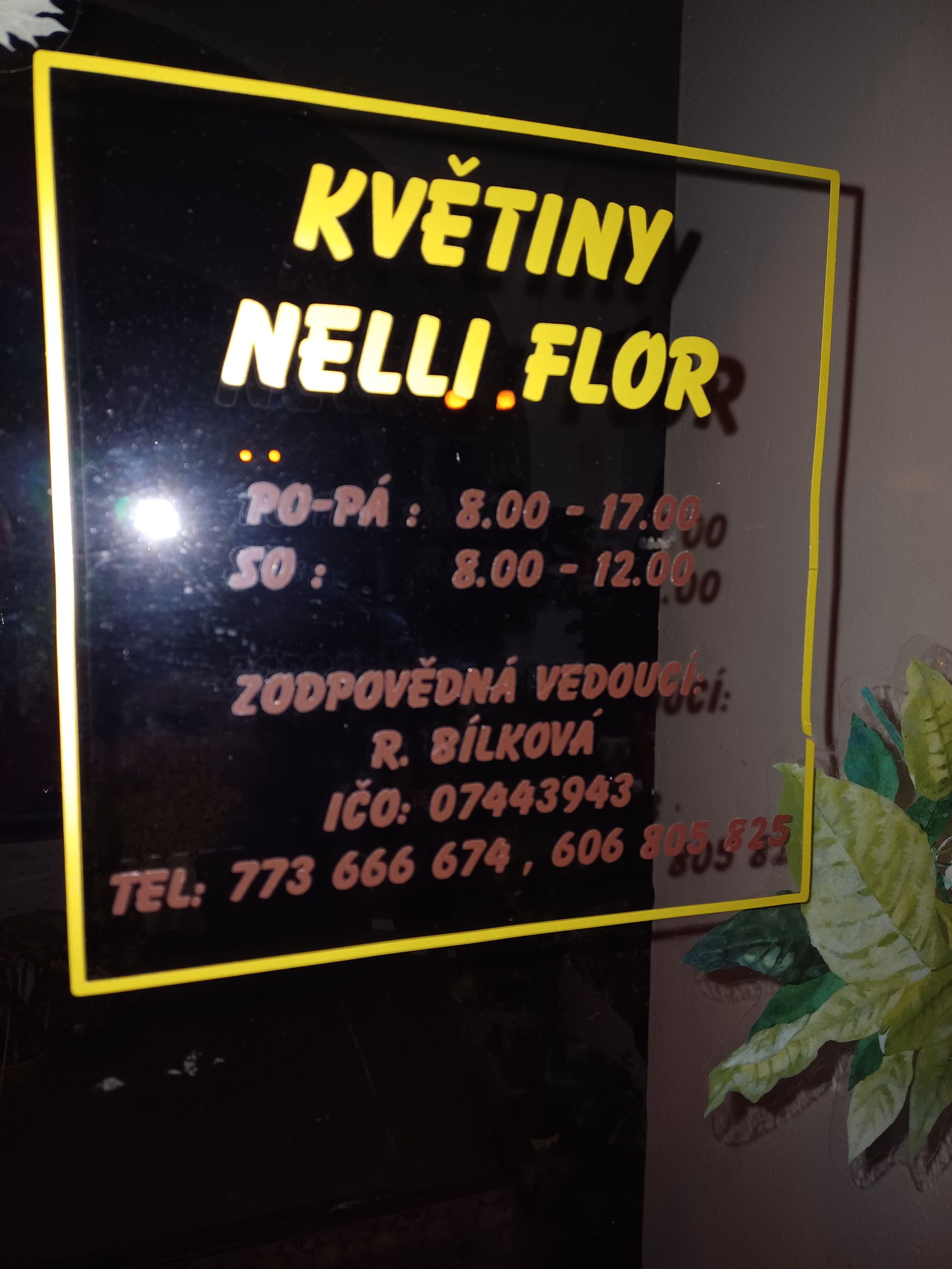 Květiny Nelli flor foto 2