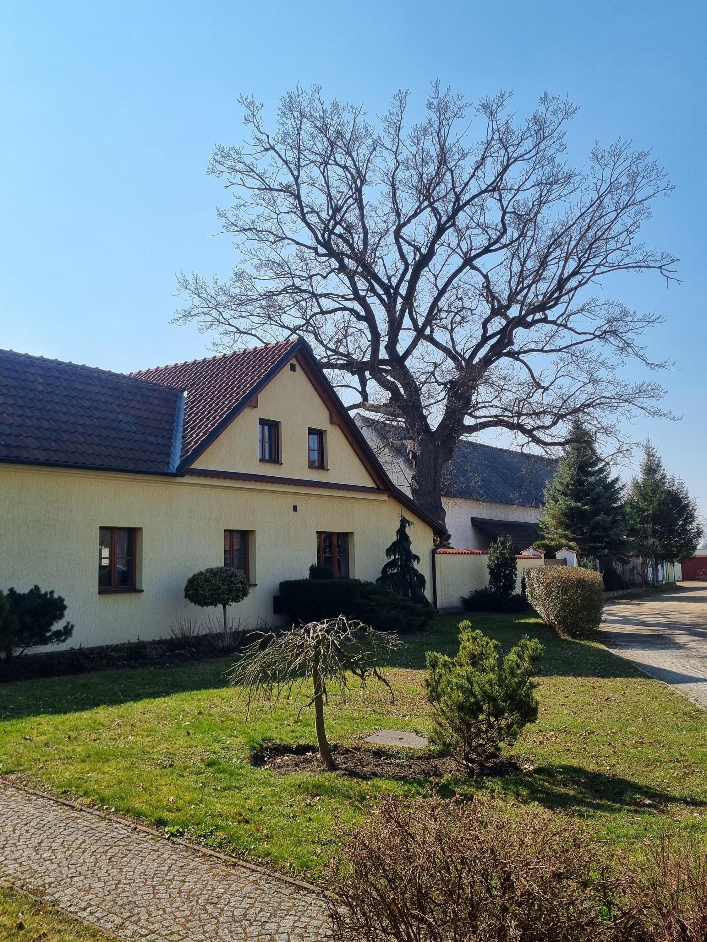 MVDr. Jan Uman foto 2