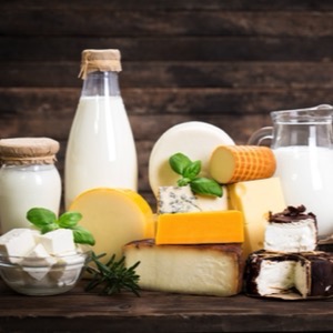 Wholesalers of dairy products
