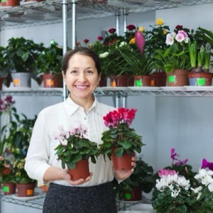 Sellers of potted plants