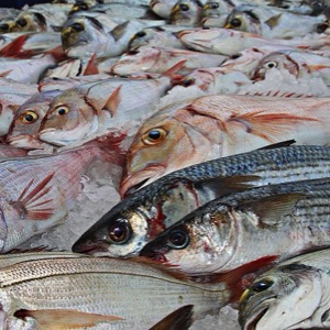 Fishmongers and sellers of fish products