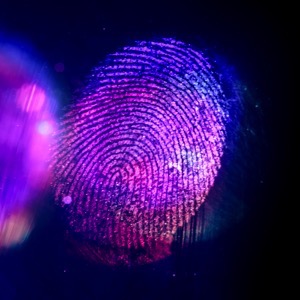 Producers of identification systems