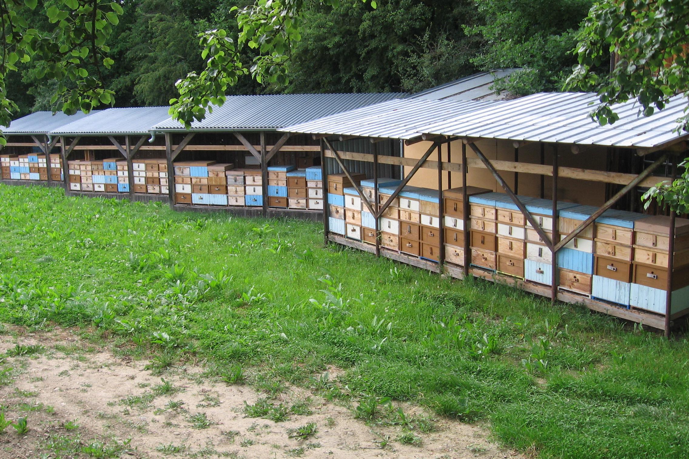 Včelařství Vrbičky - Pavel Větrovský