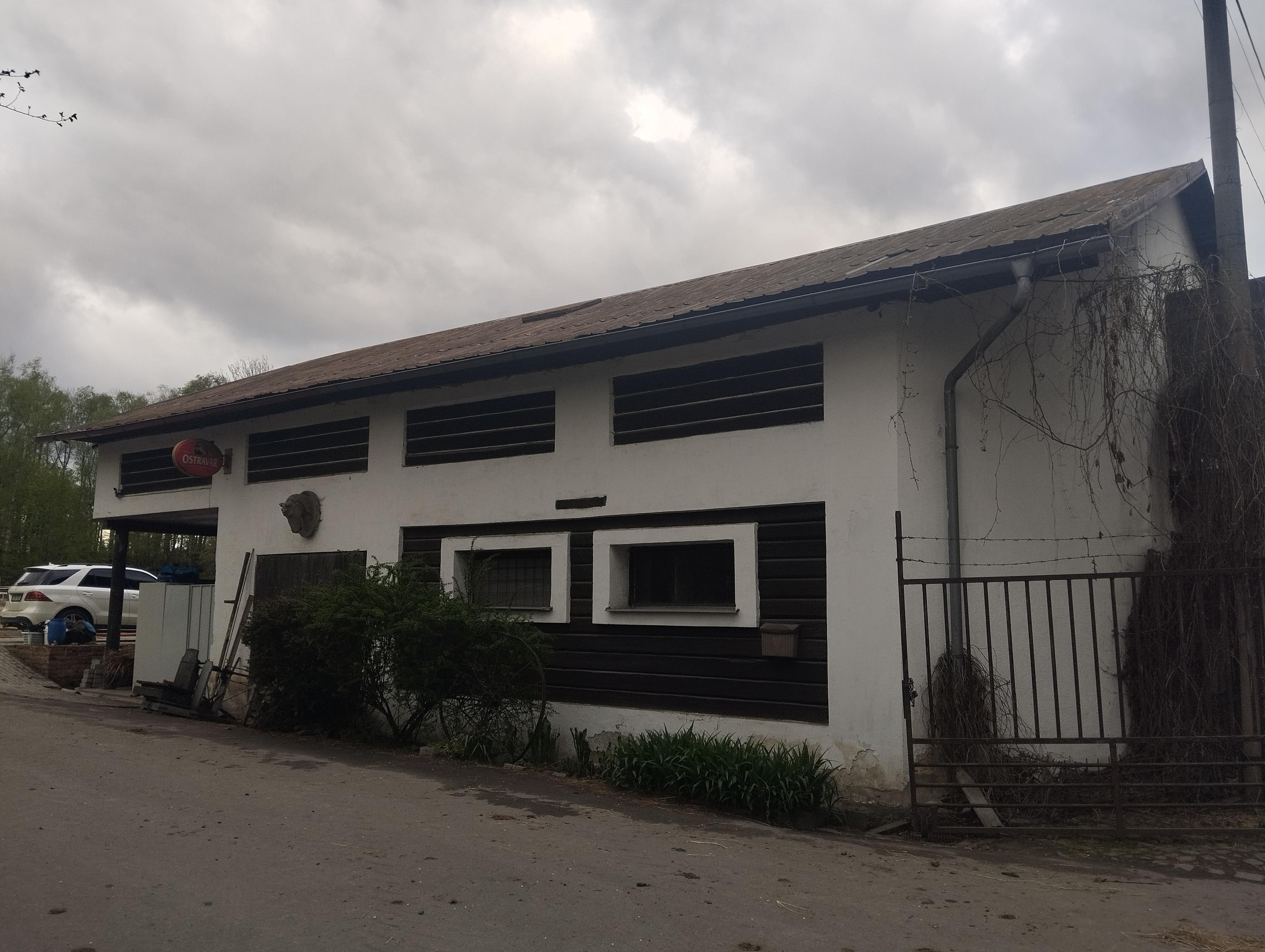 Markéta Hovjacká - trenér a cvičitel jezdectví foto 3