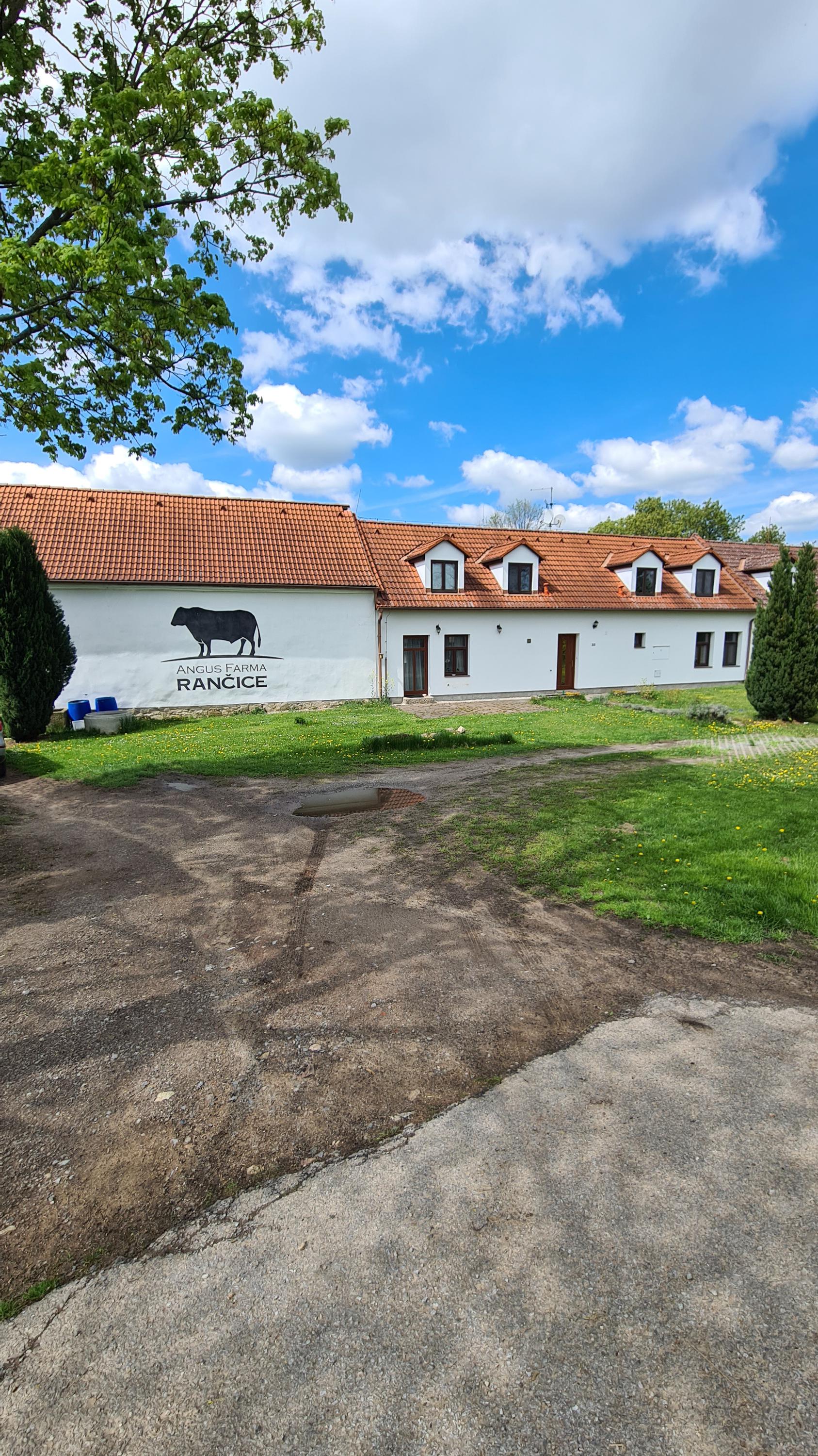 Angus farma Rančice foto 2