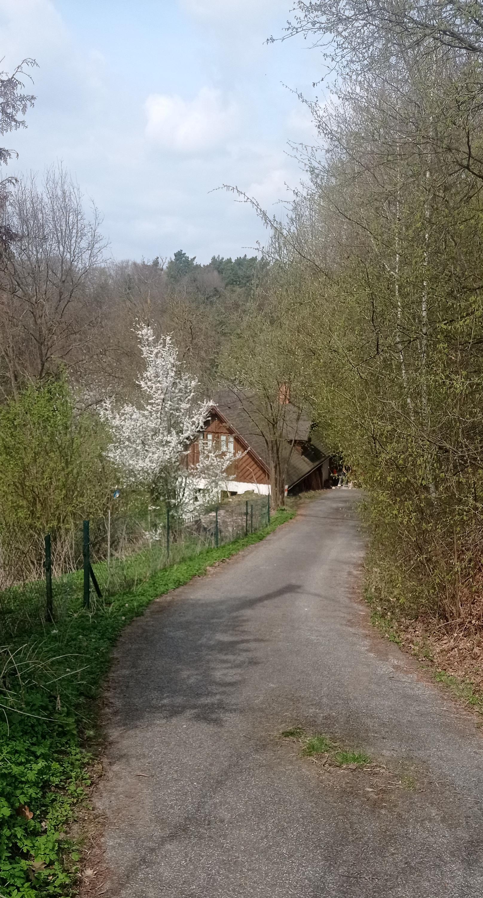 Ubytování na Pelušce foto 5