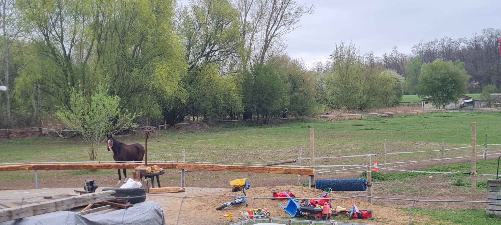 Jezdecký klub Mutěnice foto 2