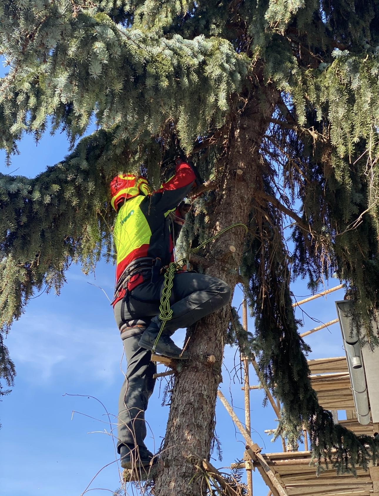 Wewood s.r.o. foto 3