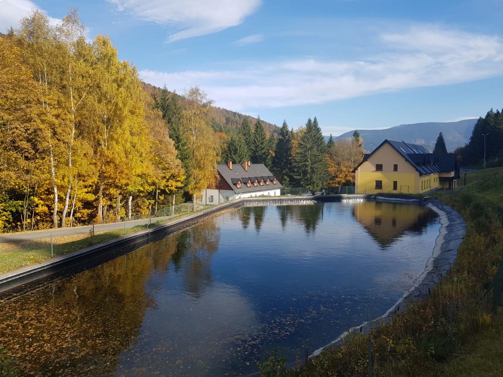 Penzion Přemyslov foto 6