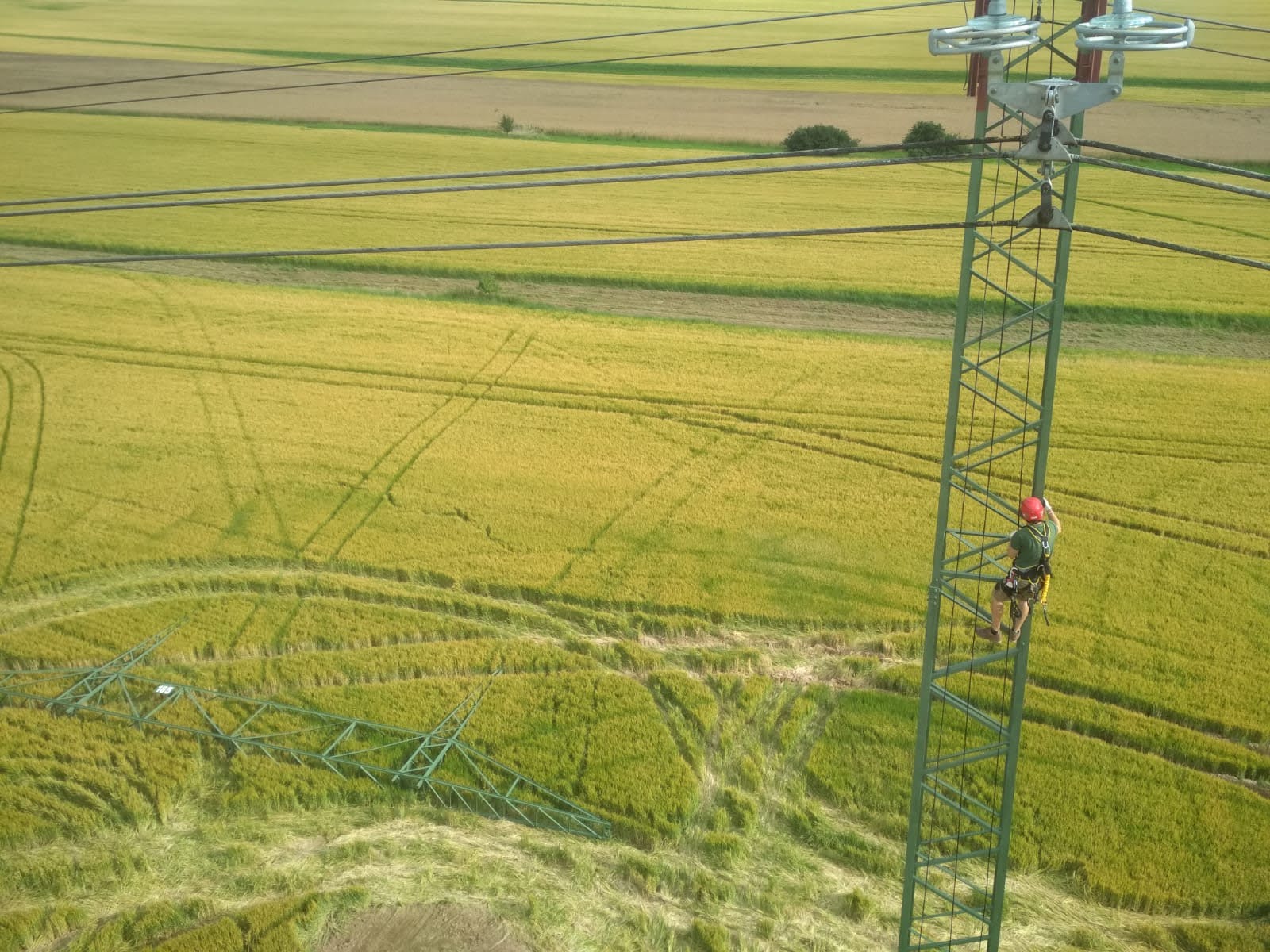 RWXX - Výškové a arboristické práce foto 1