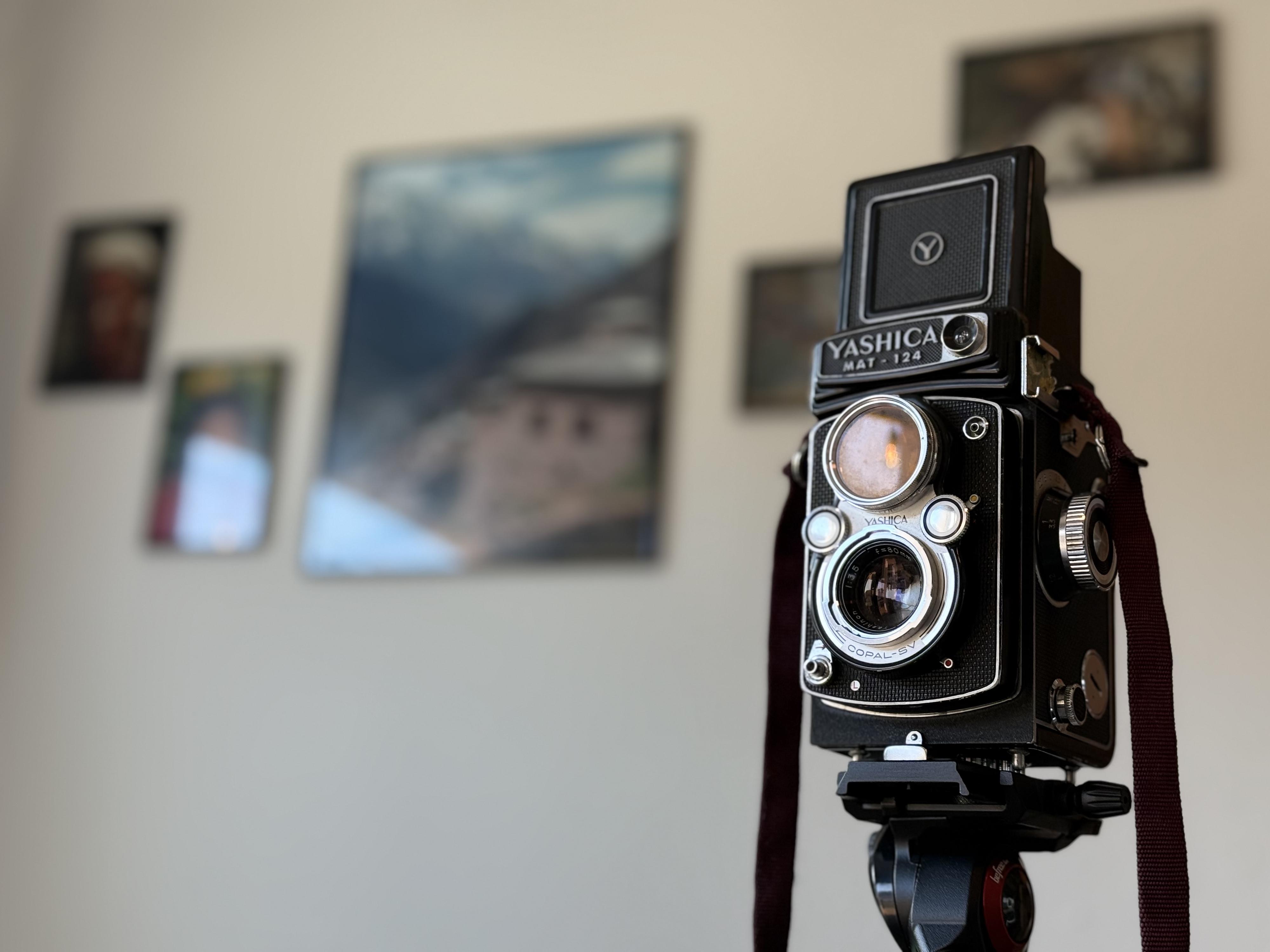 Květinový ateliér "Na Kávu" foto 6