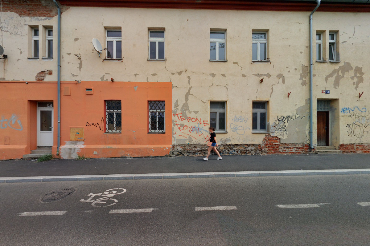 Azorky.cz foto 2