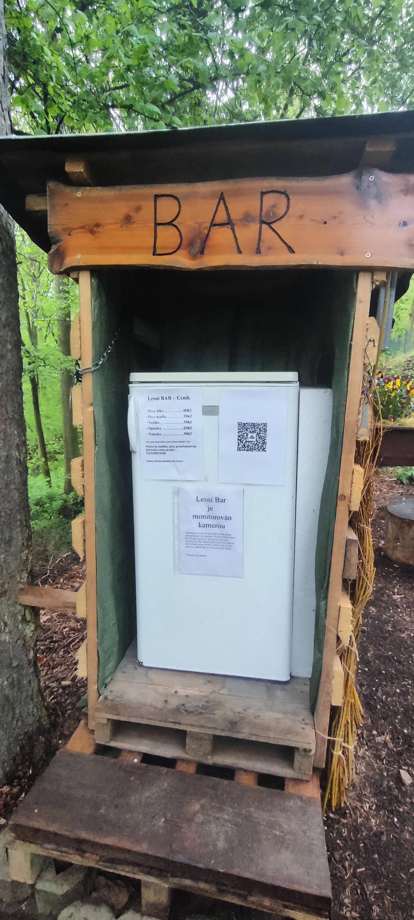 Lesní bar Bechlejovice foto 1