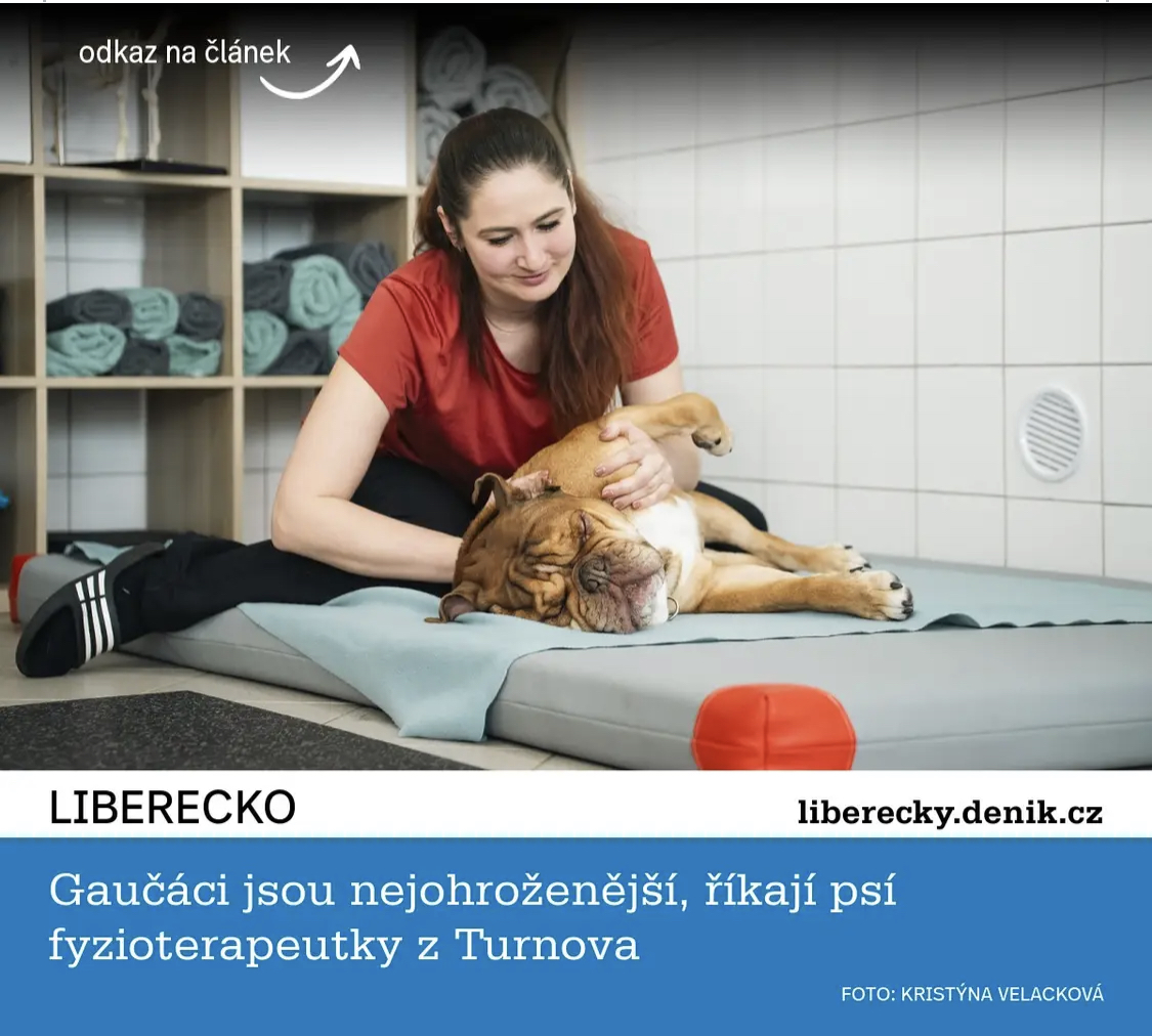 Restart4pe(t)s foto 4