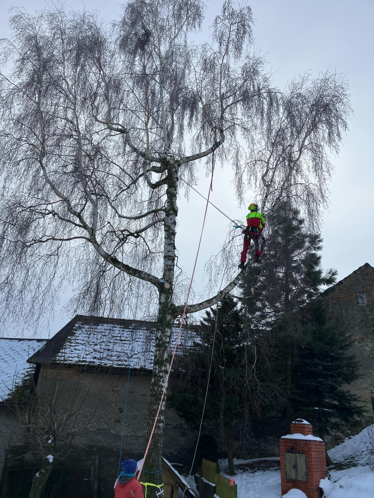 Ondřej Augustin - arboristika a výškové práce foto 4