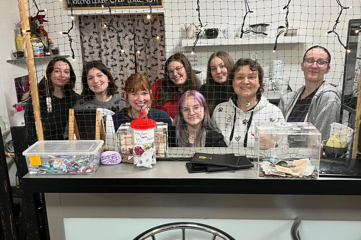 Kočičí Ráj - adopční kavárna