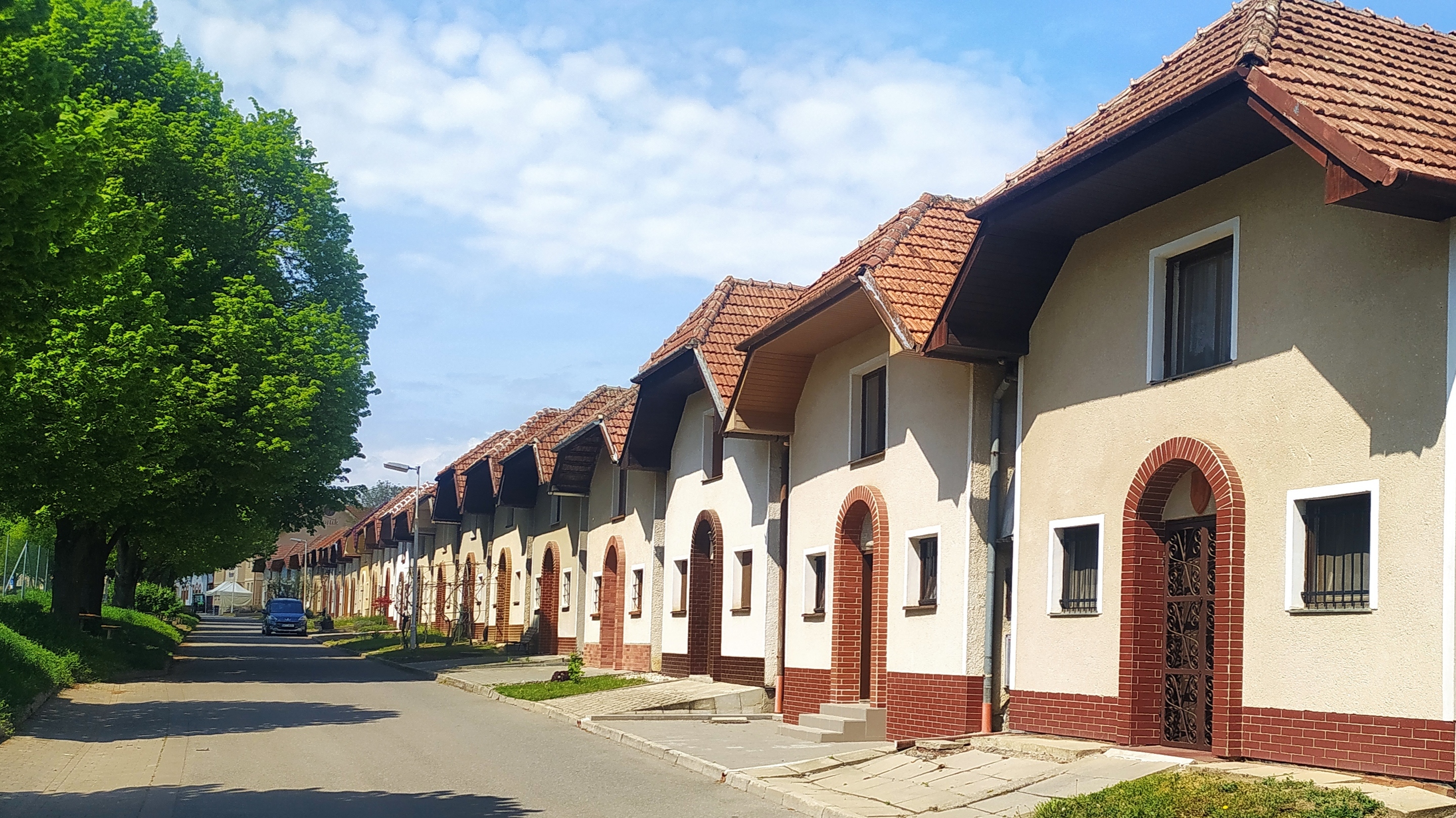 Vinný sklep Pod Novosady foto 3