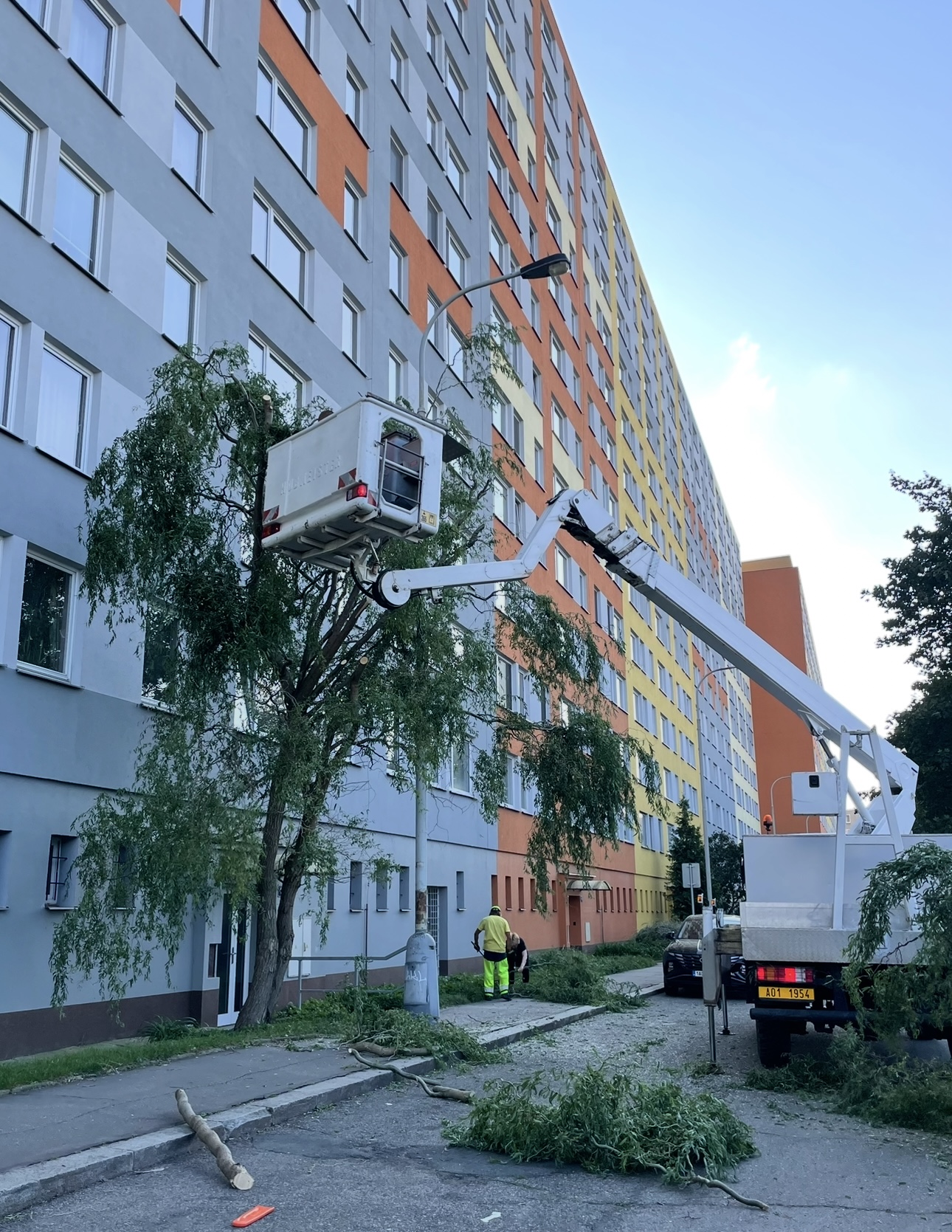 Wewood s.r.o. foto 2